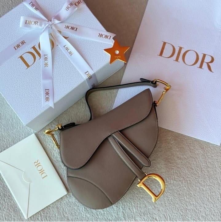 Dior Saddle Bag